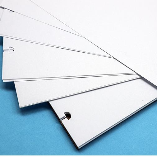 Quaderno con foro per funghi r - Graph Paper Pad recensione e prezzo