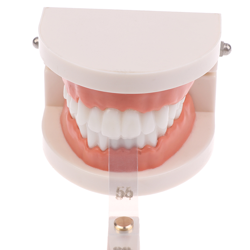 Righello di misurazione traspa - Ruler Set Transparent recensione e prezzo